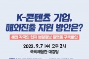 배현진 의원, K-콘텐츠 기업의 해외 진출 지원 방안 정책토론회 주최.jpg