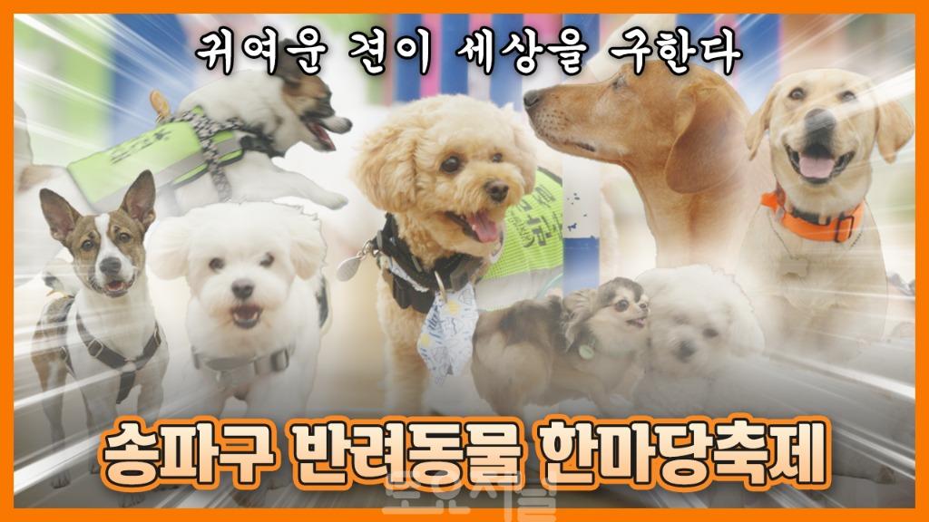제4기 ‘송파 영상크리에이터’ 모집 반려동물한마당_썸네일.jpg
