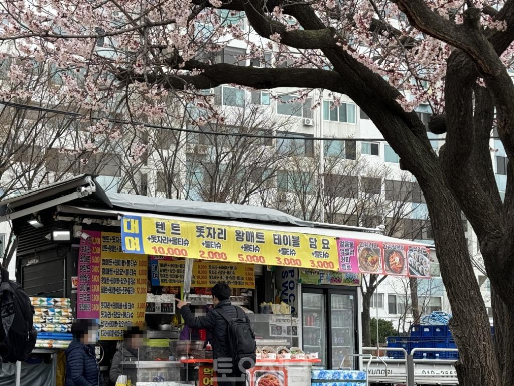 서울농관원, 벚꽃 관광지 원산지위반 단속.JPG